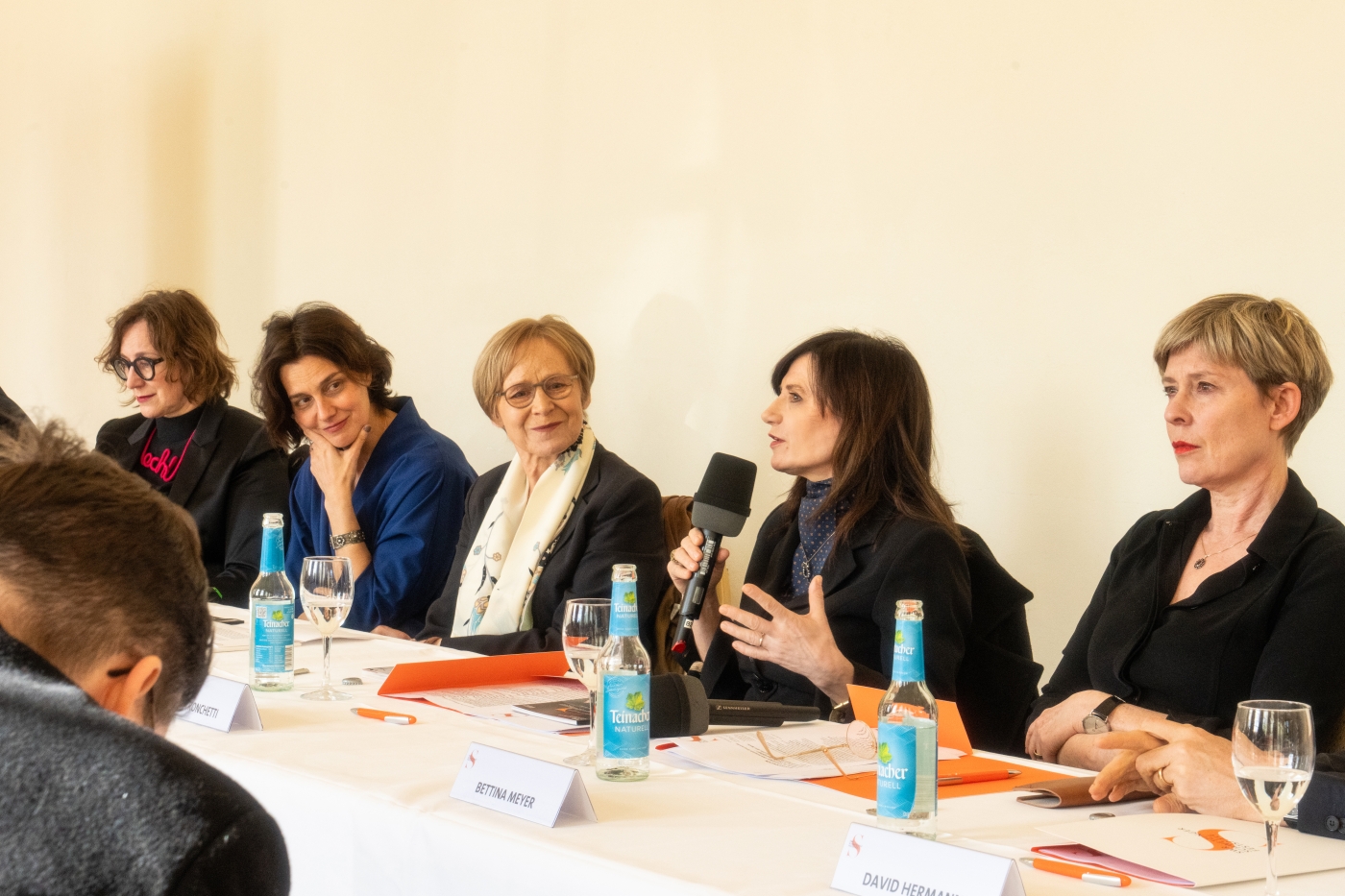 «Der Doppelgänger», Pressekonferenz, Schwetzinger SWR Festspiele, Foto: Matthias Wittig